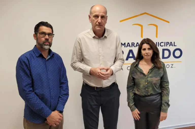 Audiência pública vai discutir preocupação da comunidade com derrubada de árvores em Gramado