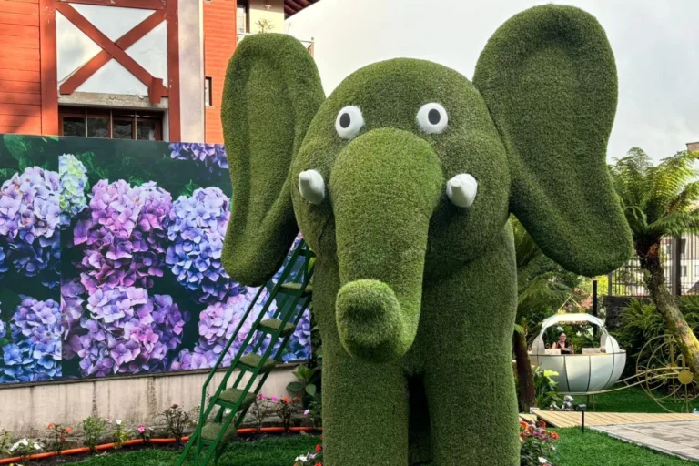 Inaugurado o Hortênsias Garden, nova atração turistica de Gramado